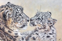 Attention Seeking by Valerie Simms - Original Drawing on Mounted Paper sized 24x16 inches. Available from Whitewall Galleries
